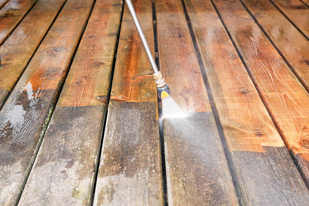 Best Animal Enclosure Cleaning  in Sherwood, OH